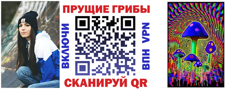 OMG сайт Неман Галлюциногенные грибы Psilocybine cubensis наркотики